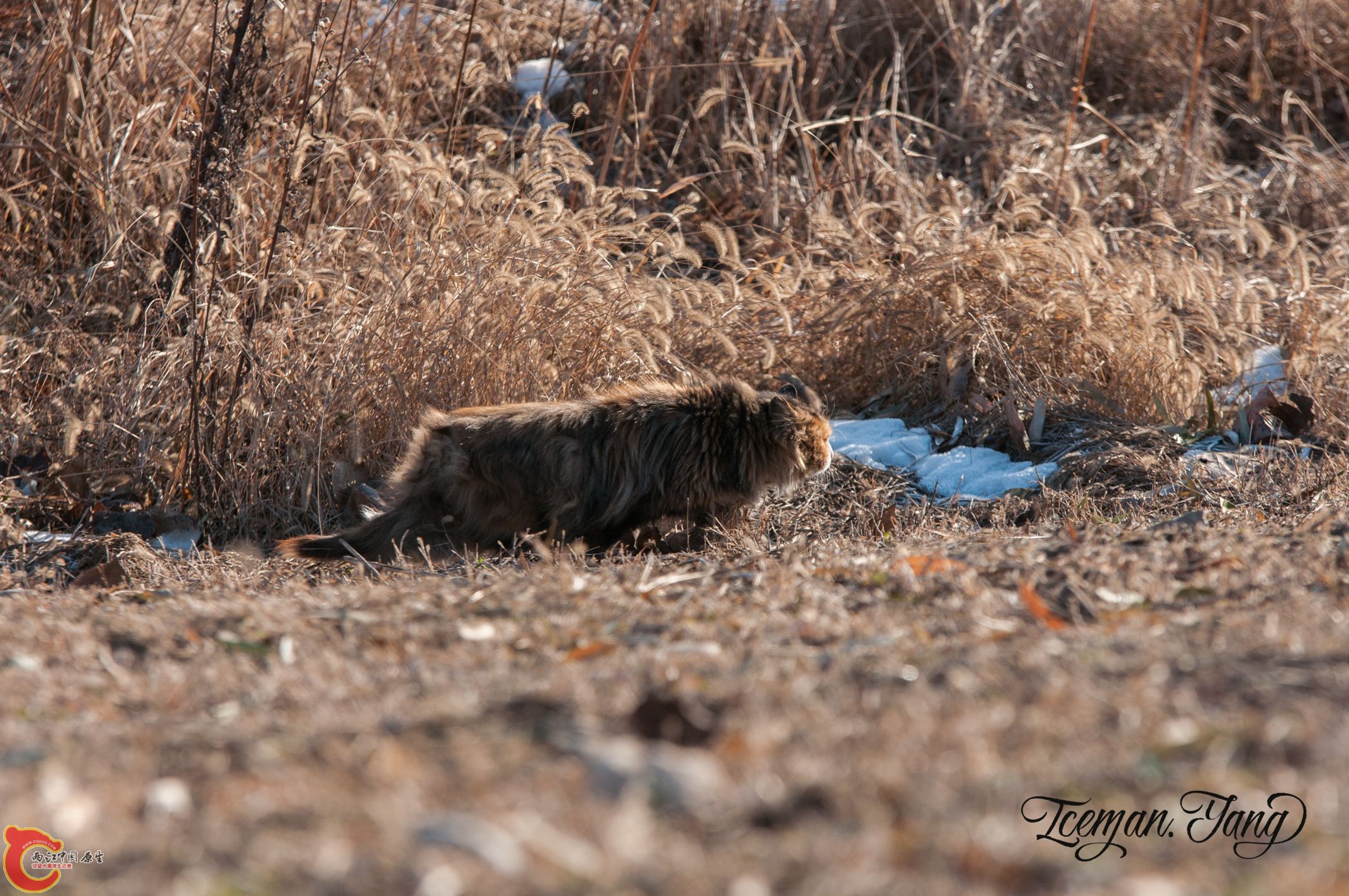 DSC_0011.jpg