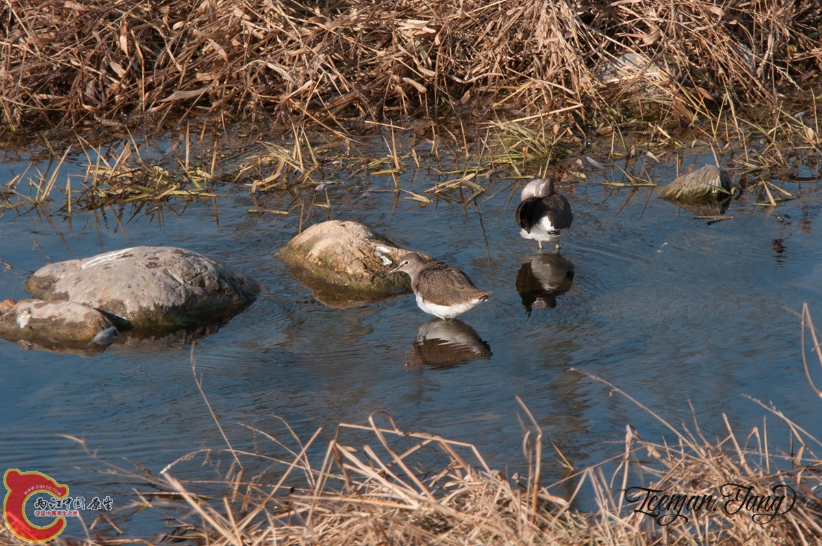 DSC_0073.jpg