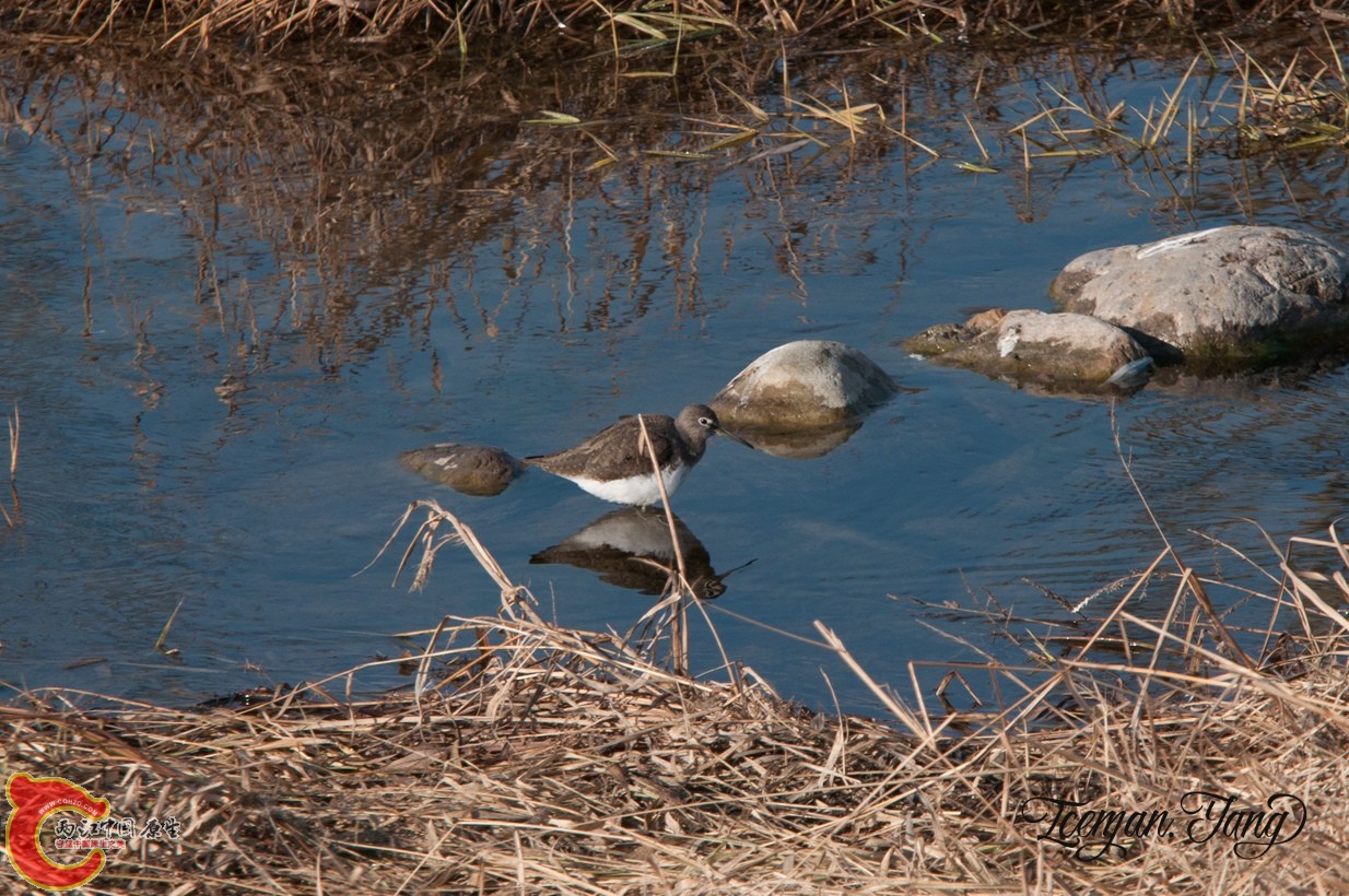 DSC_0138.jpg