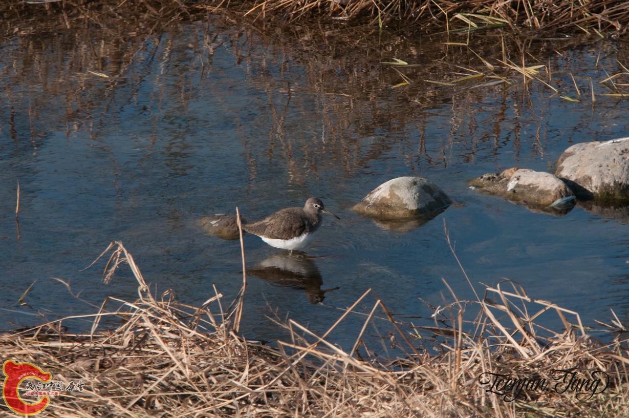 DSC_0152.jpg