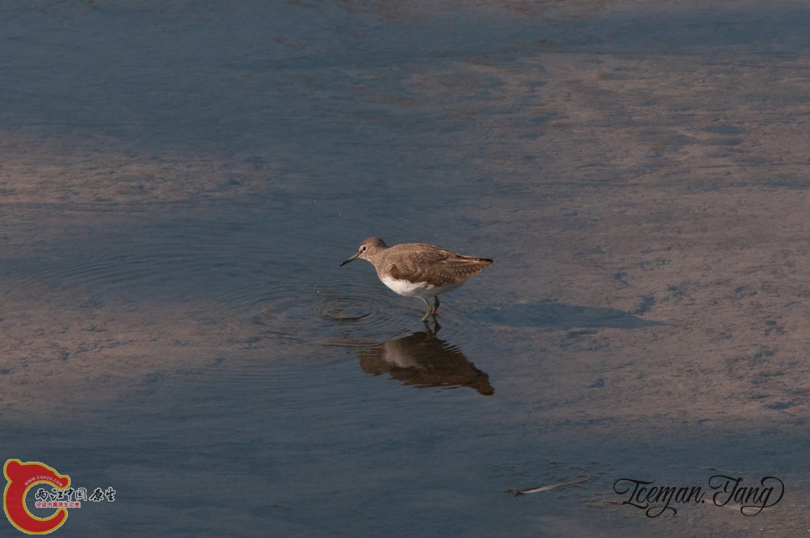 DSC_0179.jpg