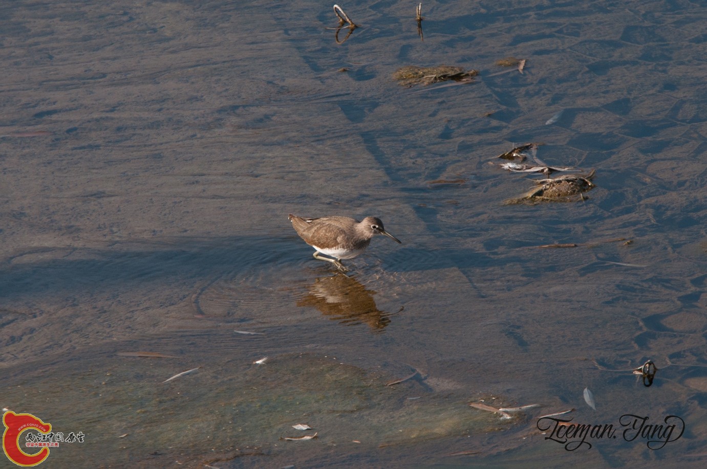 DSC_0203.jpg