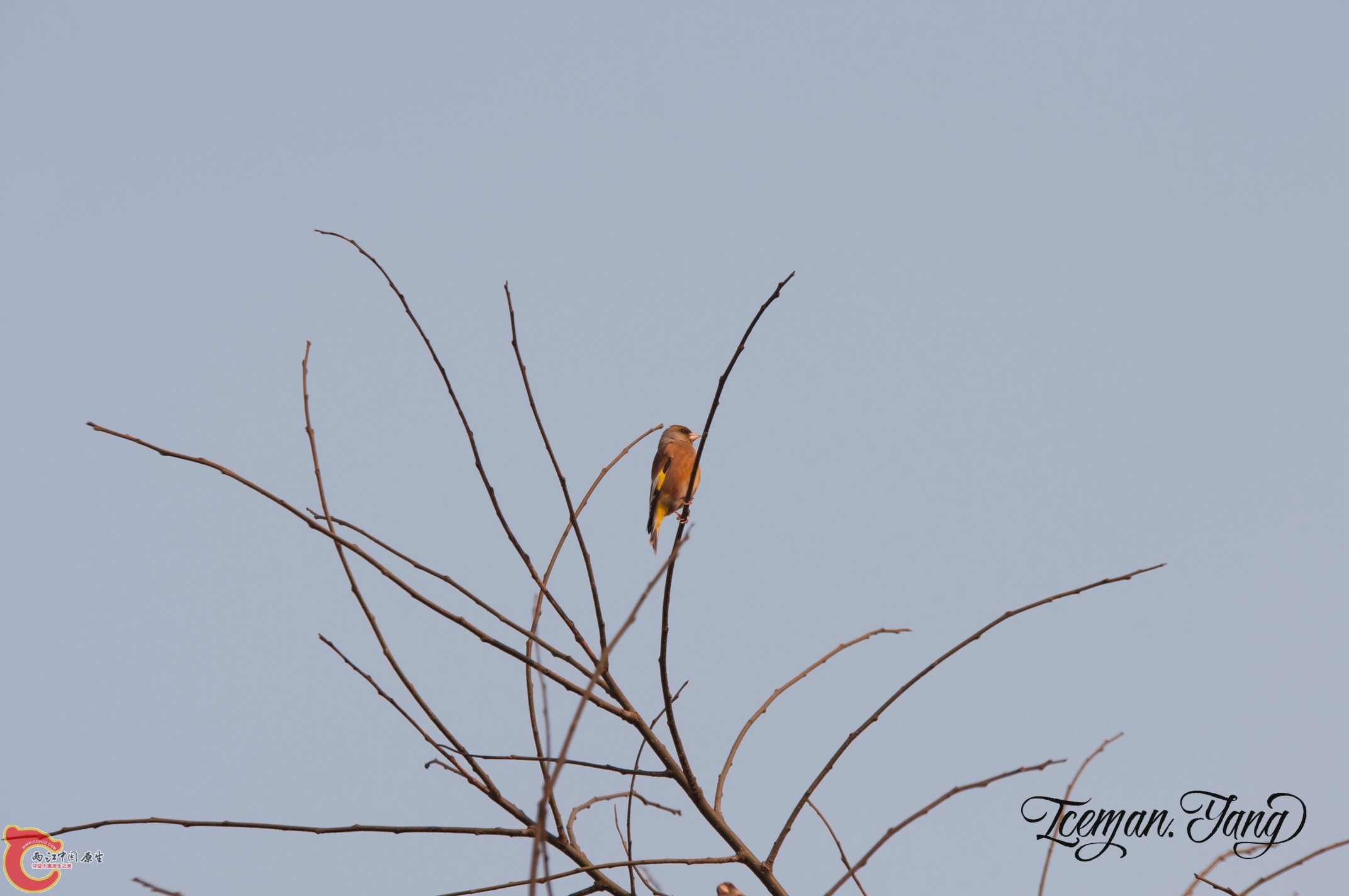 DSC_0079.jpg