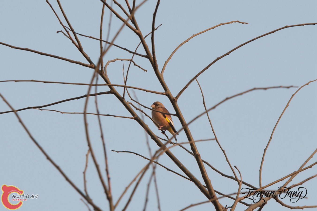 DSC_0101.jpg