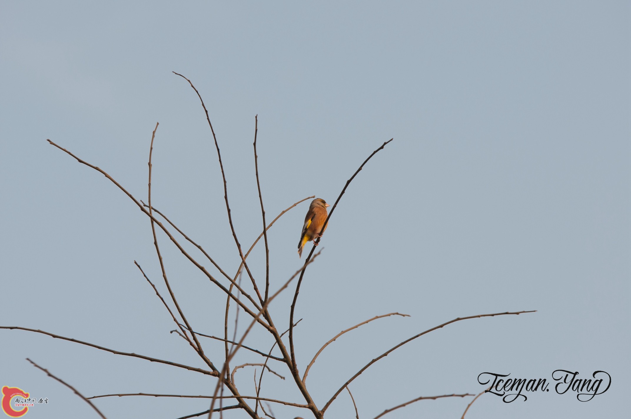 DSC_0103.jpg