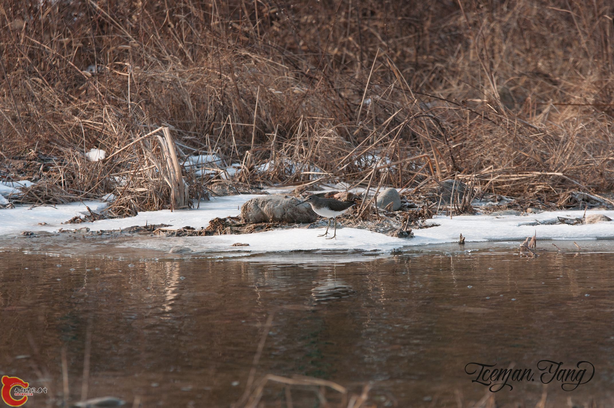 DSC_0163.jpg