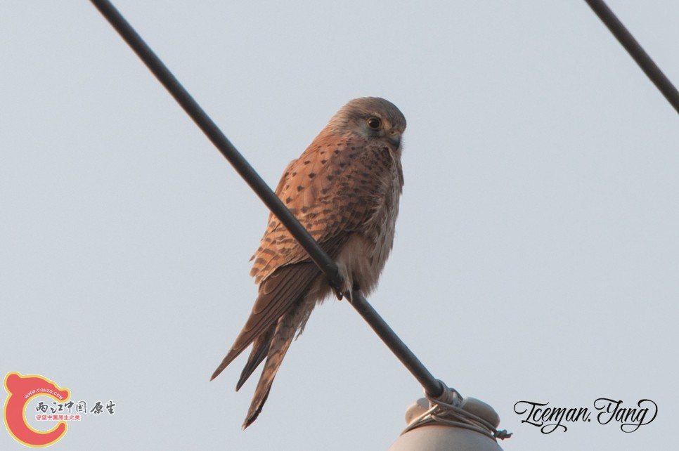 DSC_0158.jpg