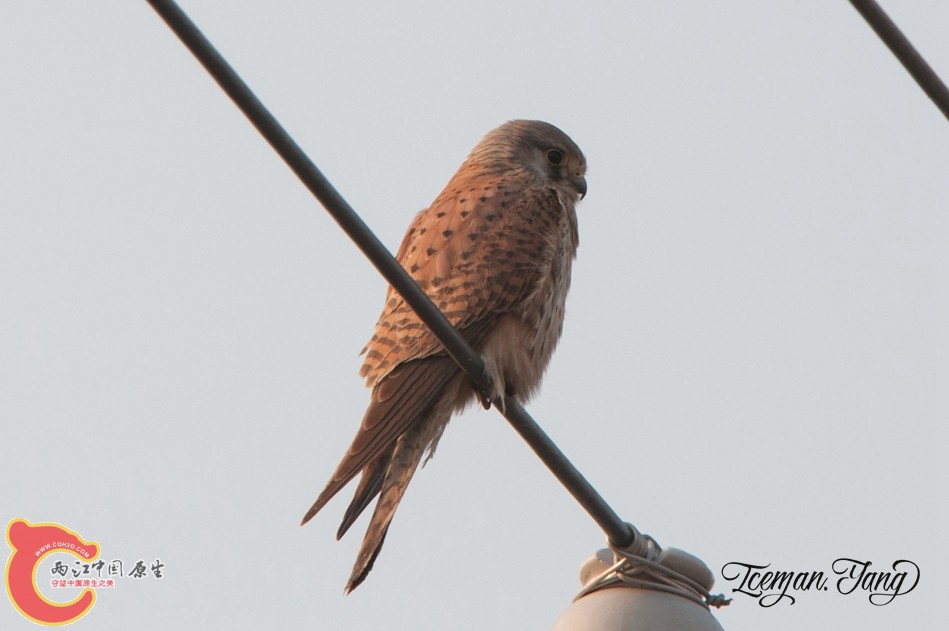 DSC_0162.jpg