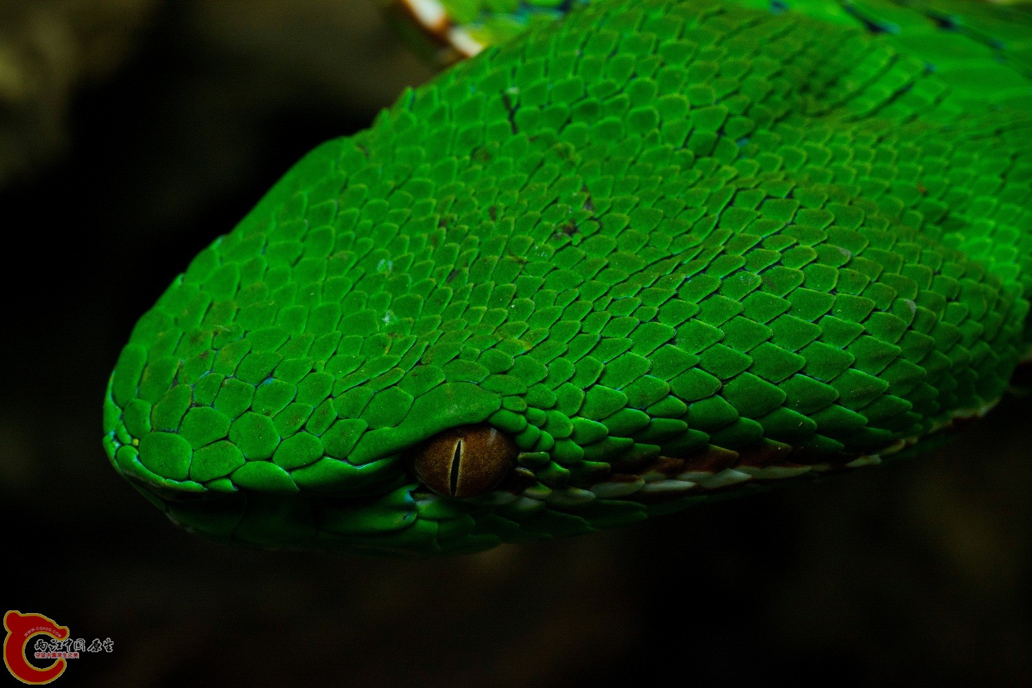 DSC_8970.jpg