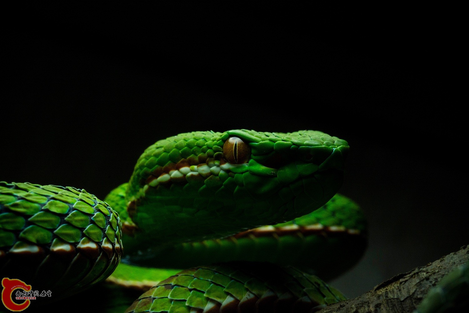 DSC_8986.jpg