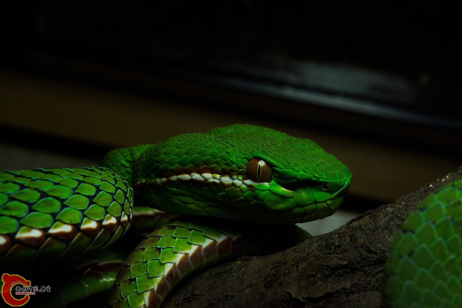 DSC_8987.jpg