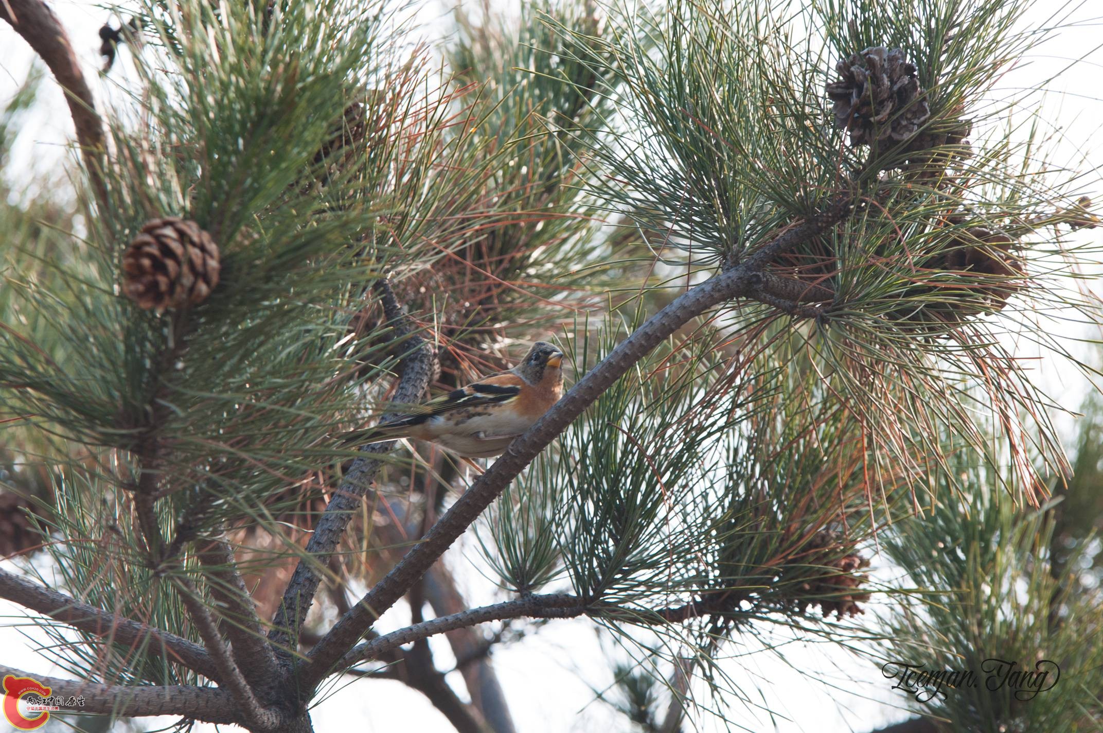 DSC_0021.jpg