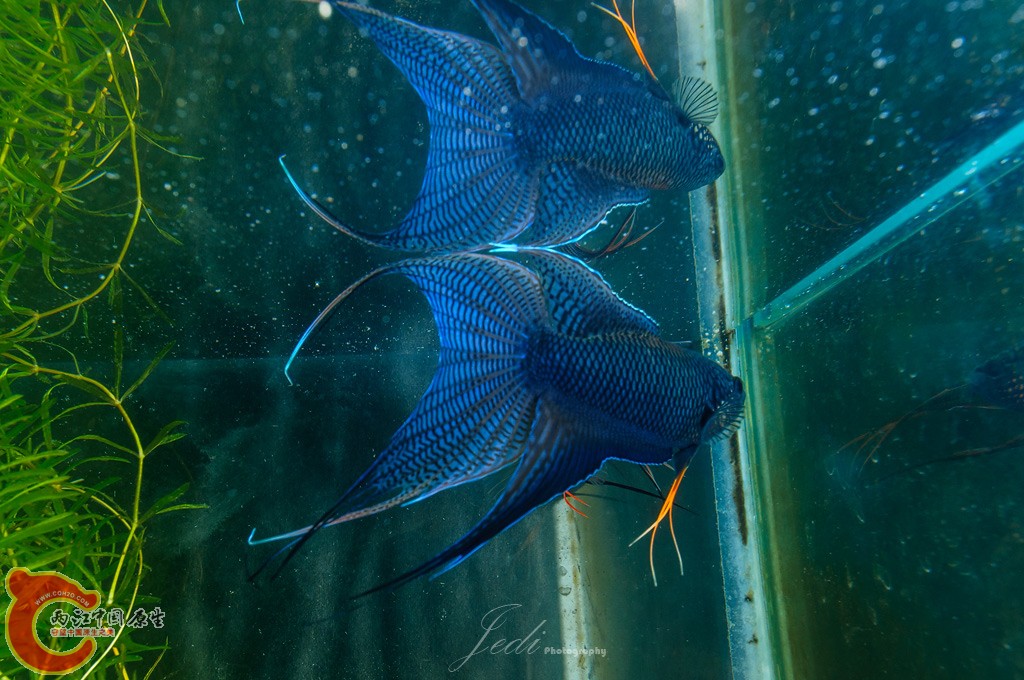 WD6_3953-编辑.jpg