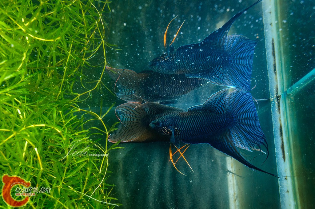 WD6_3970-编辑.jpg