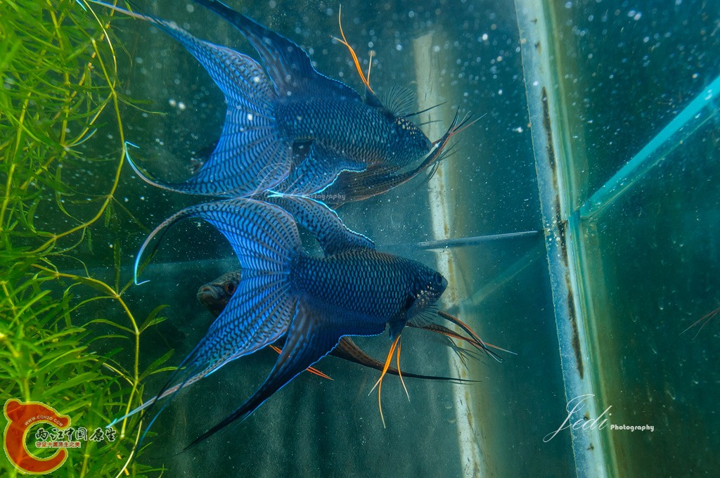 WD6_3987-编辑.jpg