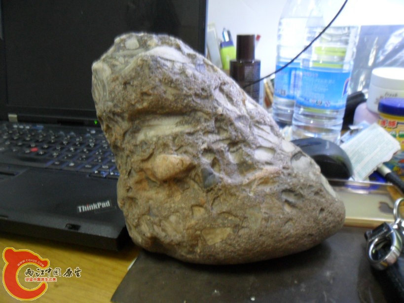 SAM_7677_副本.JPG