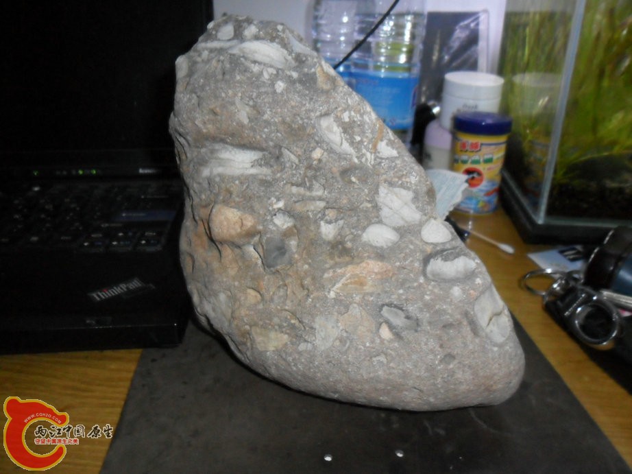 SAM_7668_副本.JPG