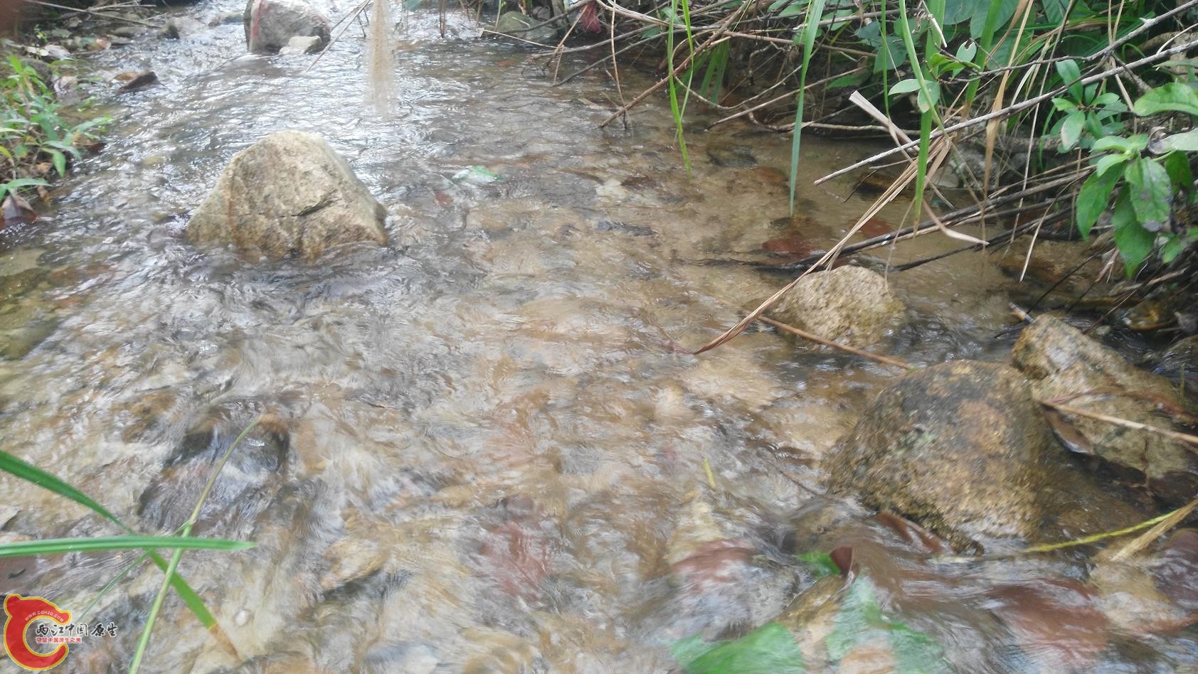 溪流1