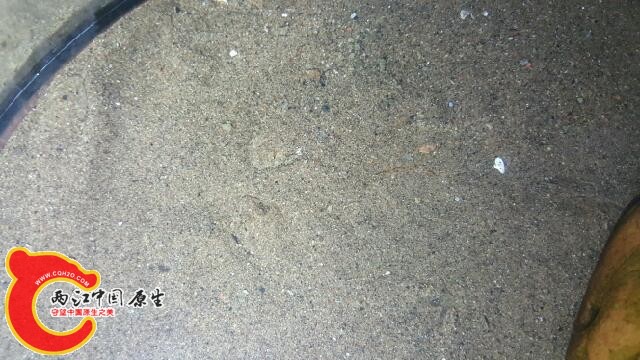 20151216_192902.jpg