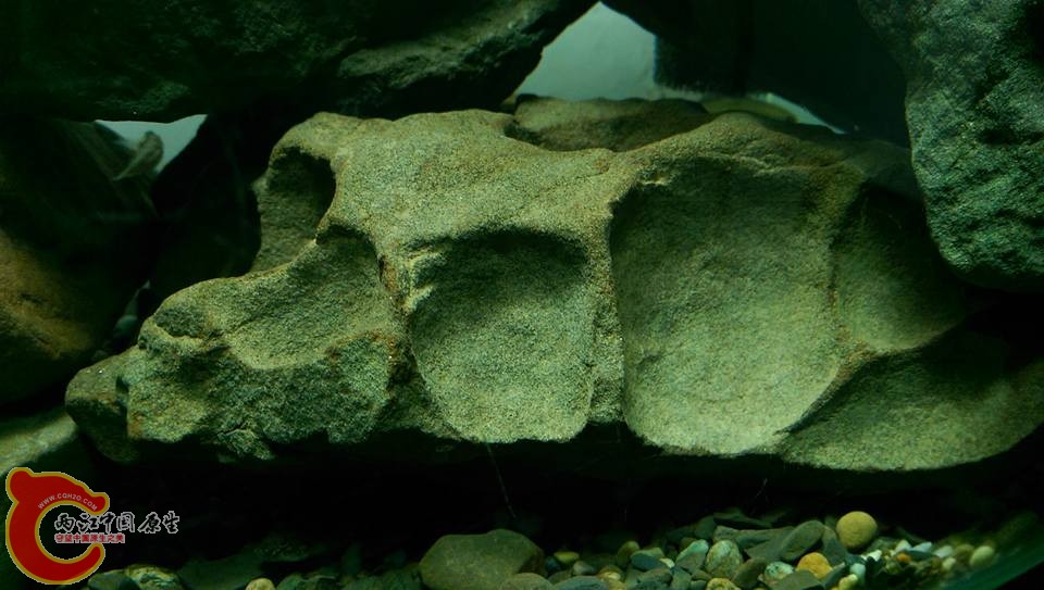 很幸運撿到長期被海水淘洗、侵蝕的天然沙岩！