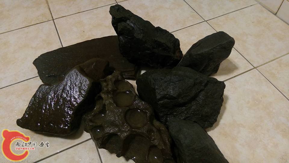 剛撿回來清洗完的石材