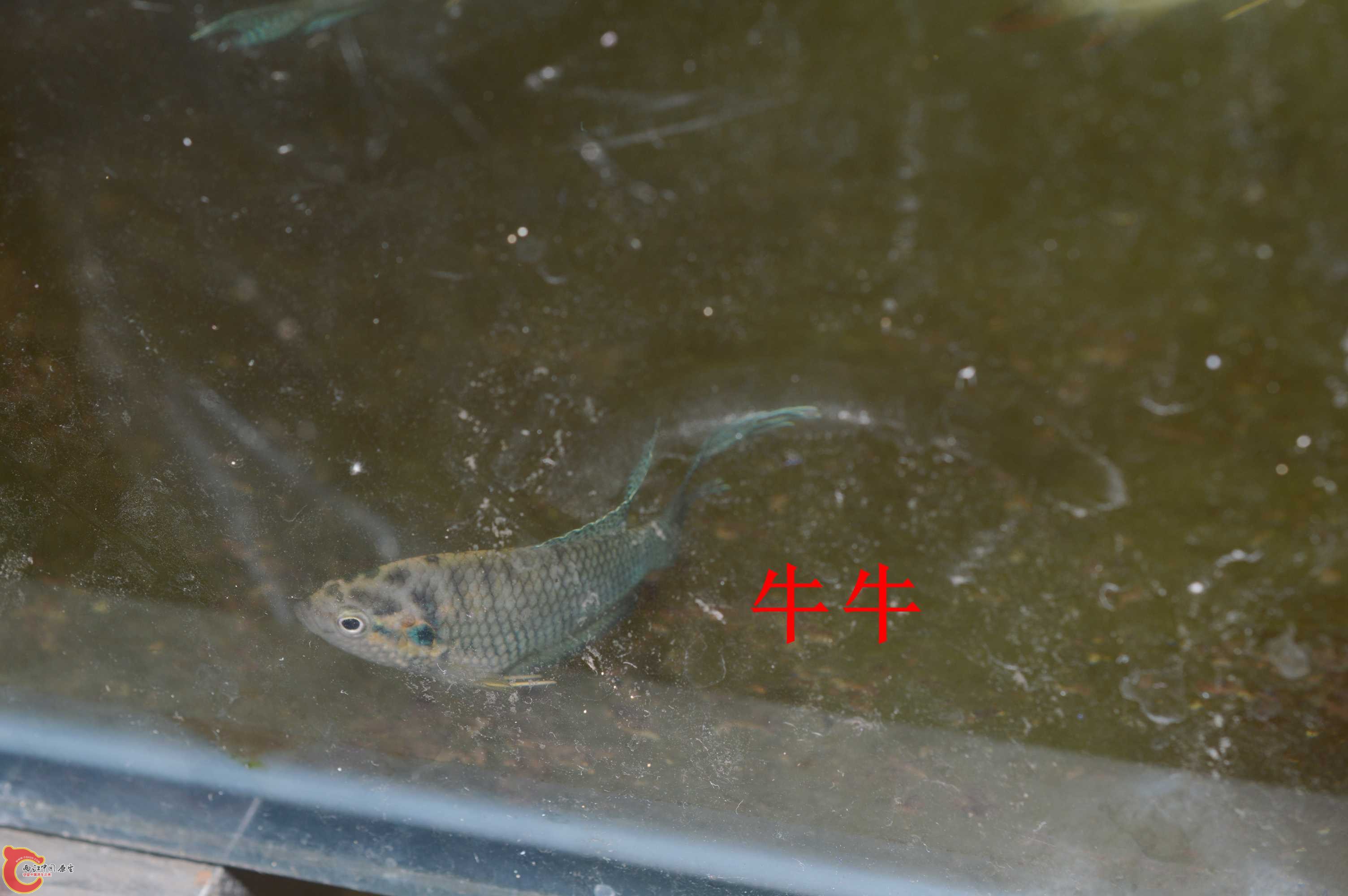 DSC_0002.jpg