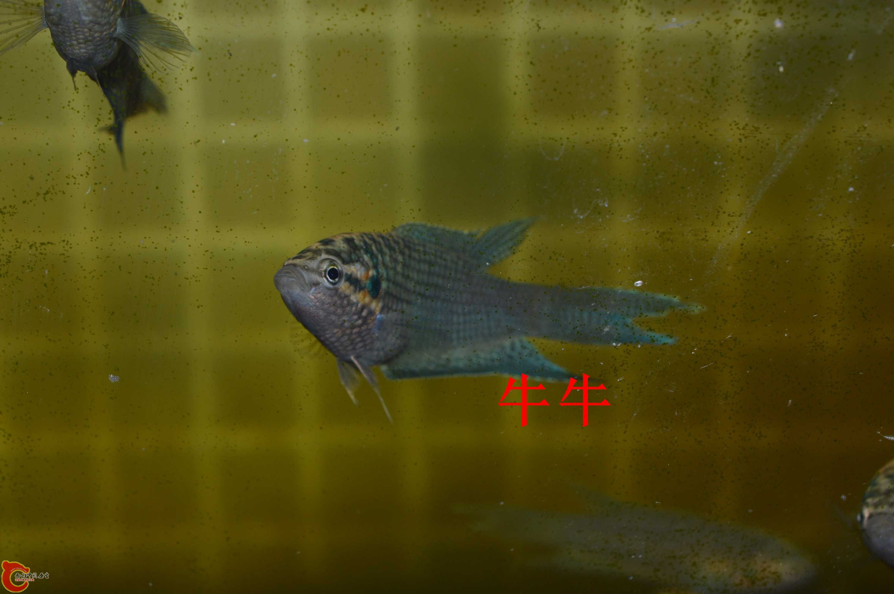 DSC_0012.jpg