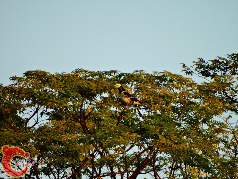 DSC02110.JPG