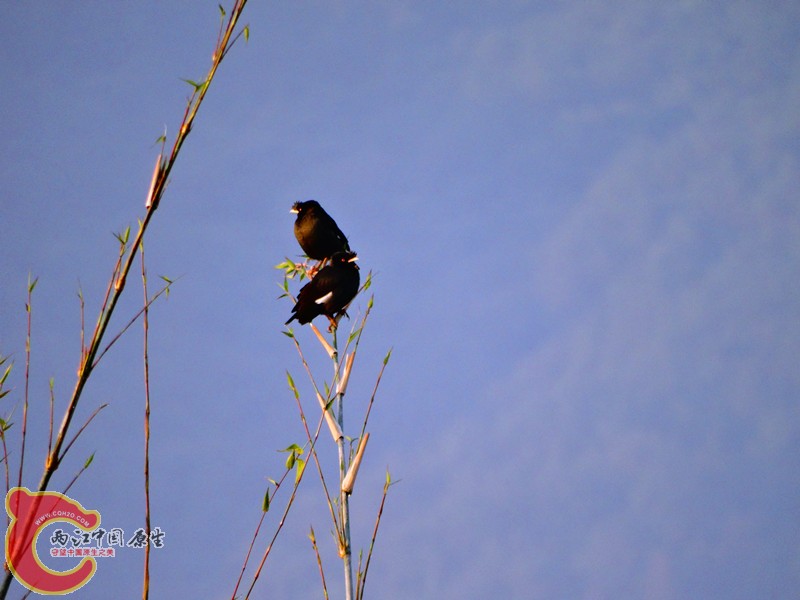 DSC02116.JPG