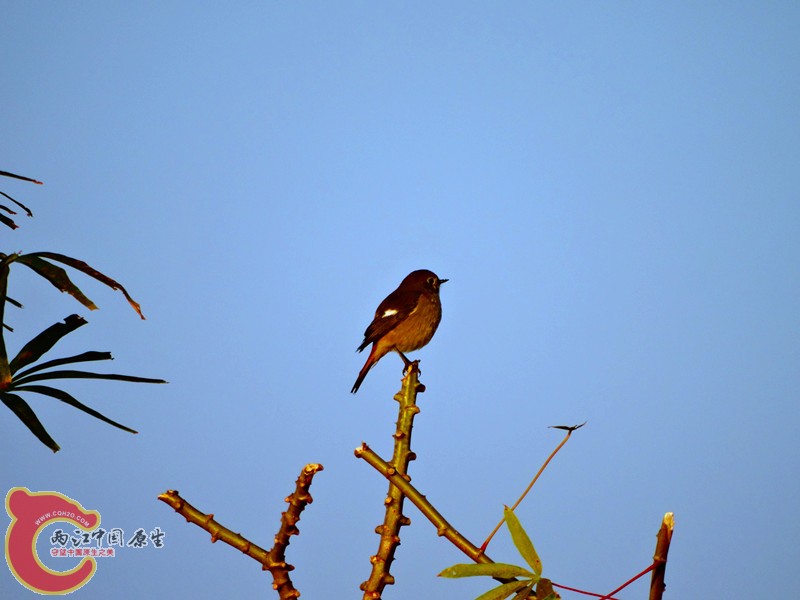 DSC02118.JPG