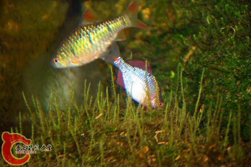 DSC_1446.JPG