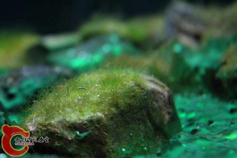 IMG_9407_副本.jpg