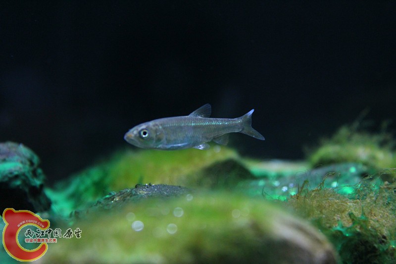 IMG_9386_副本.jpg