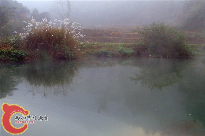 PC230431.jpg