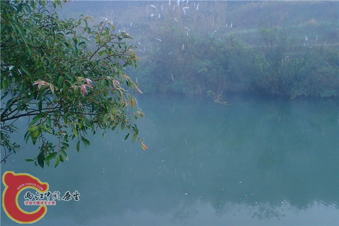 PC230432.jpg