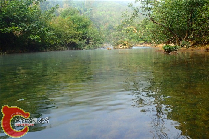 PC230442.jpg
