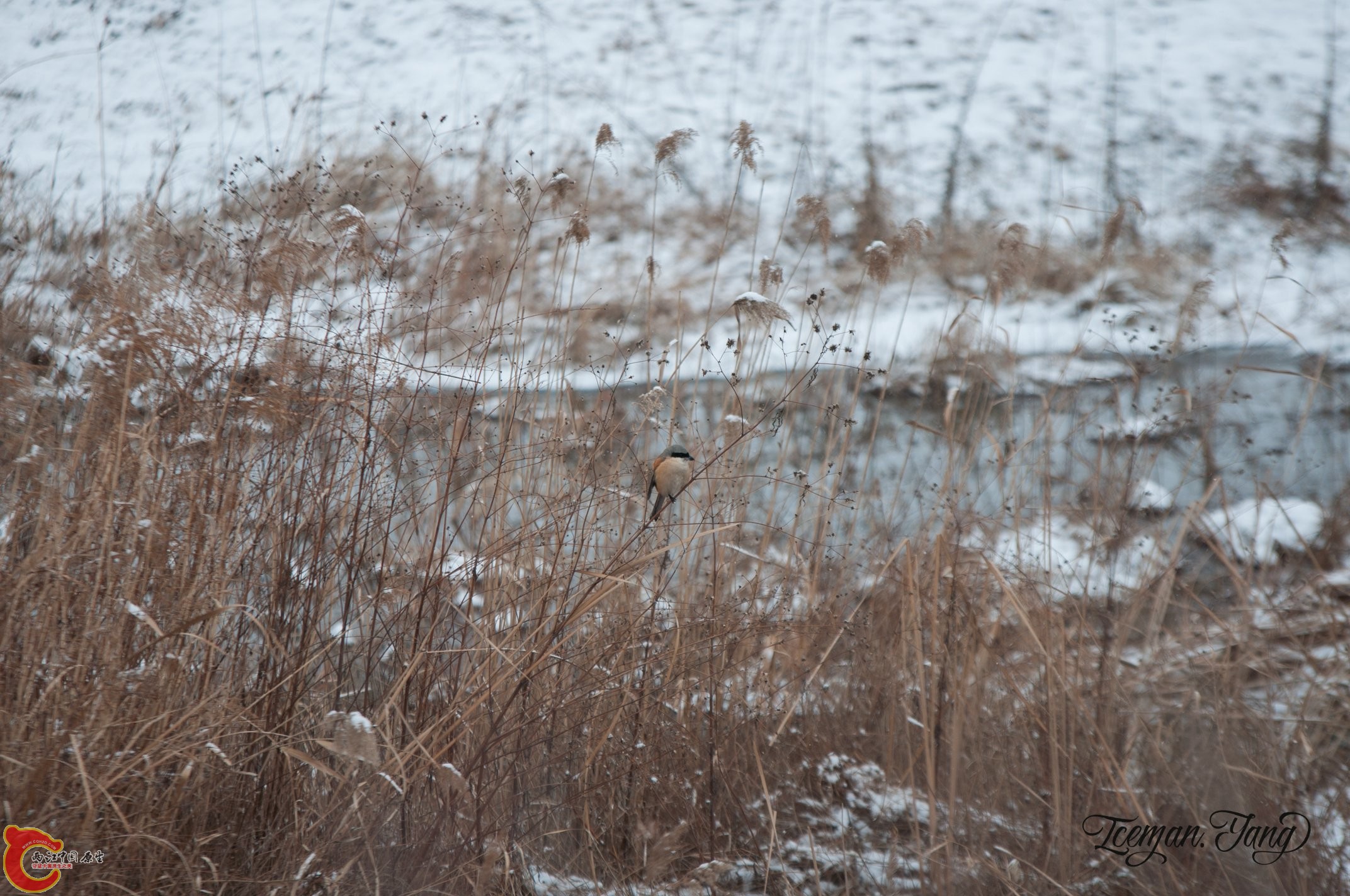 DSC_0089.jpg