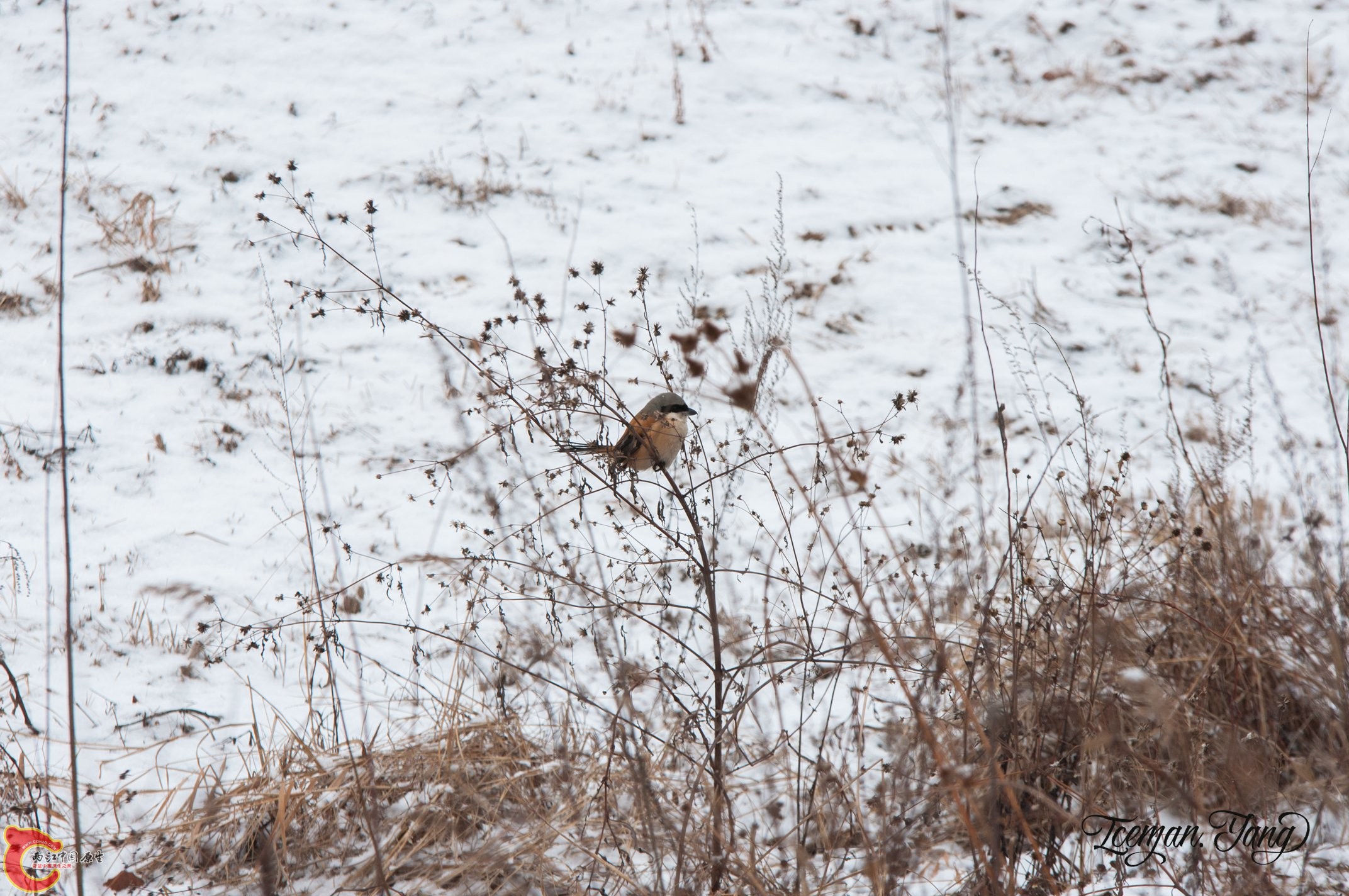 DSC_0197.jpg