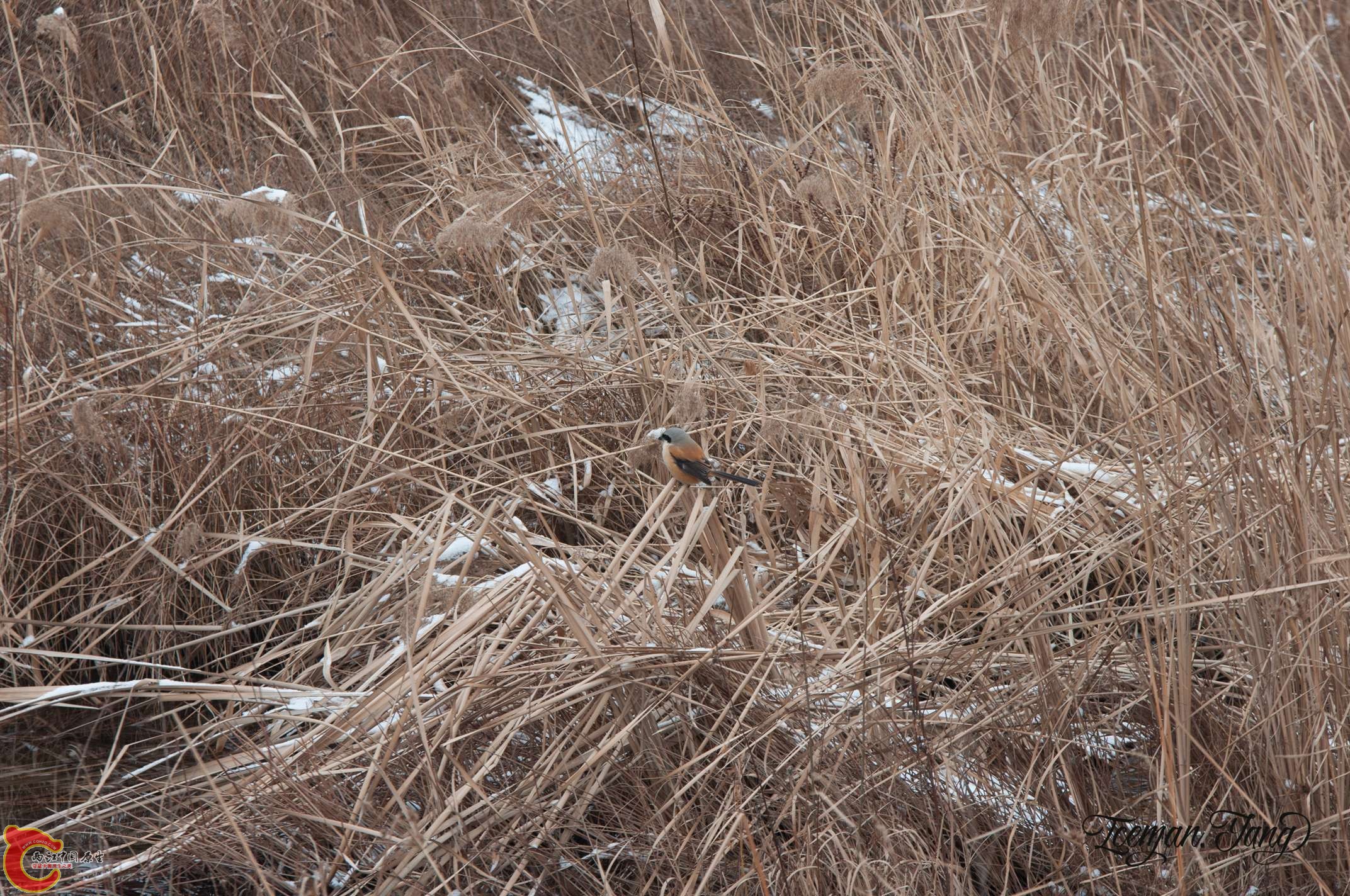 DSC_0235.jpg