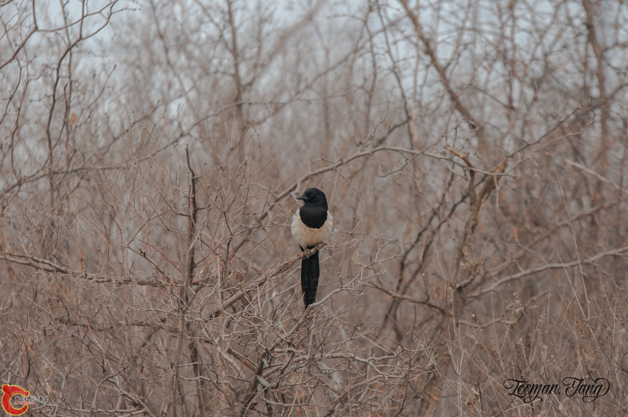 DSC_0025.jpg