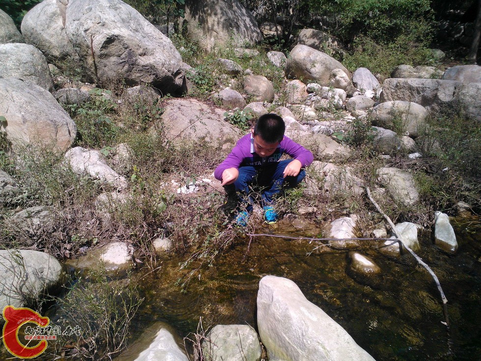 WP_001249_调整大小.jpg