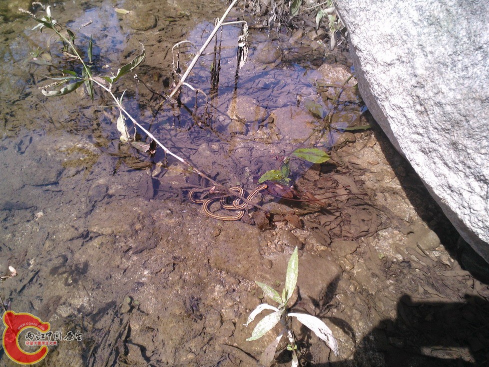 WP_001251_调整大小.jpg