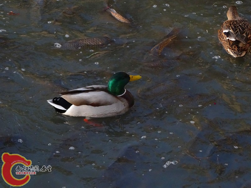 DSC03598_副本.jpg