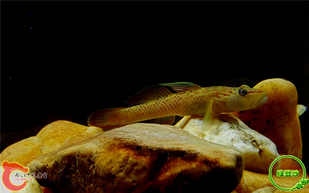 2015-12-29 11.02.03.jpg