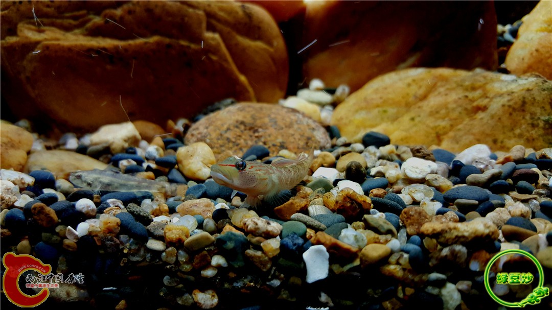 2015-12-29 11.05.56.jpg