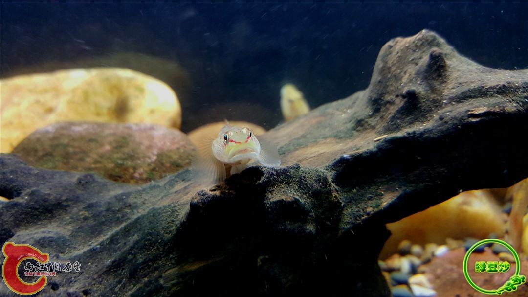 2015-12-29 11.19.14.jpg