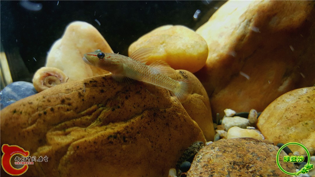 2015-12-29 11.19.58.jpg