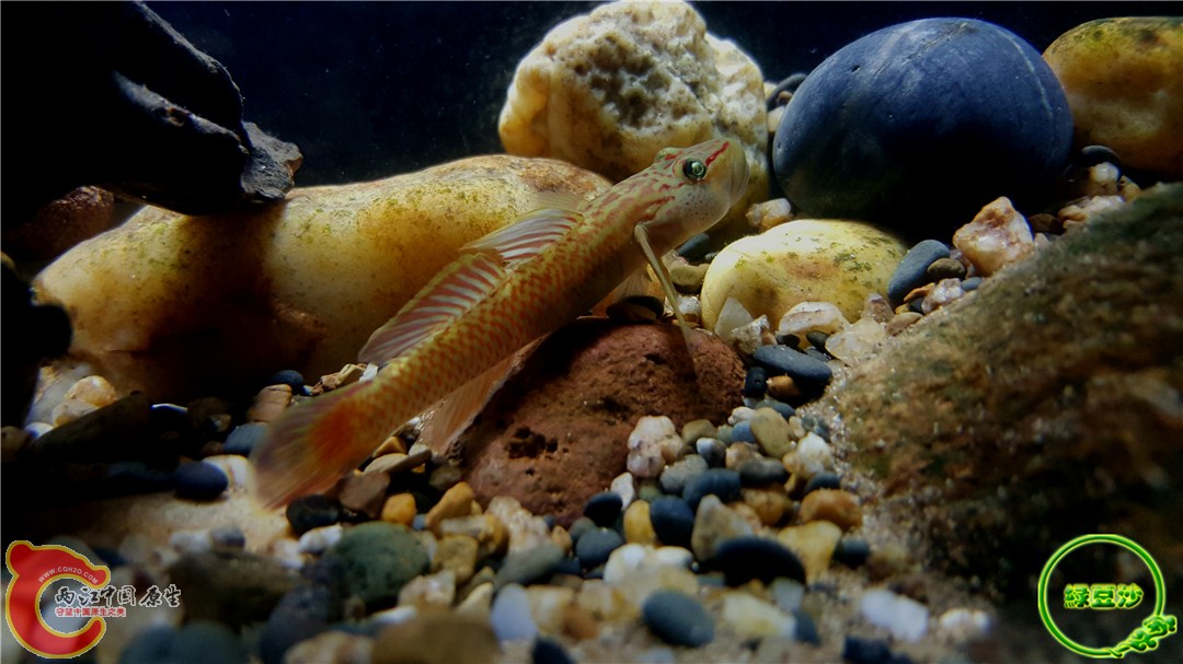 2015-12-29 12.50.48.jpg