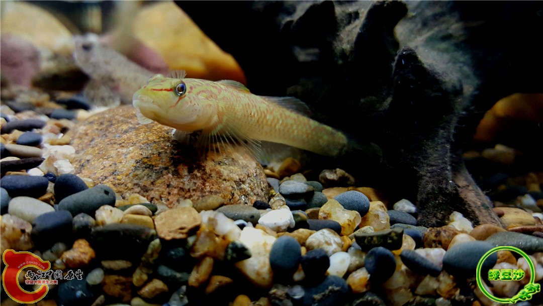 2015-12-29 12.52.12.jpg