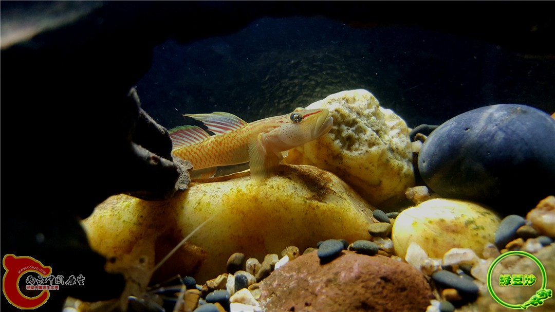 2015-12-29 12.53.25.jpg